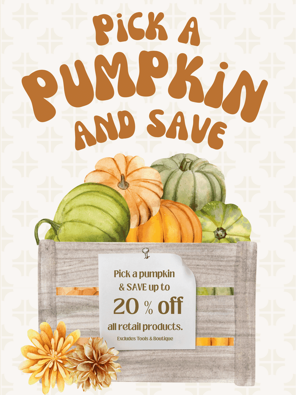 Crate of assorted pumpkins offering up to 20% off all retail products.